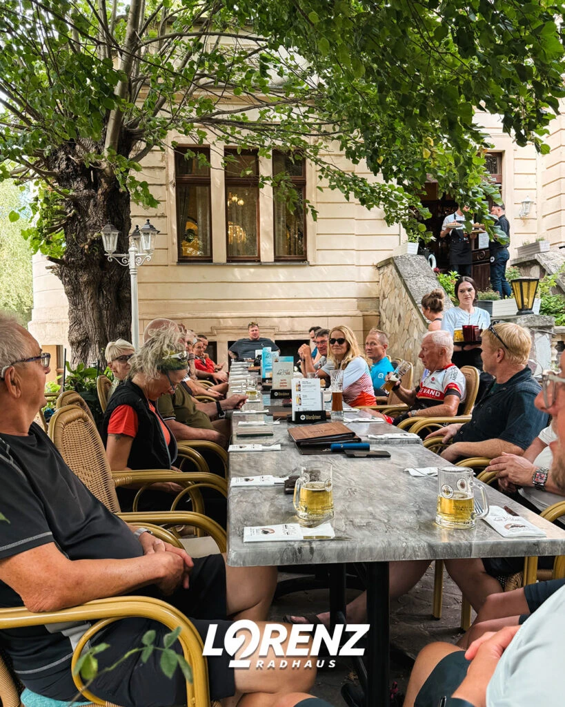 Eine große Gruppe sitzt an einem langen gedeckten Tisch im Freien unter einem großen Baum.